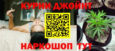 гидропоника Будённовск