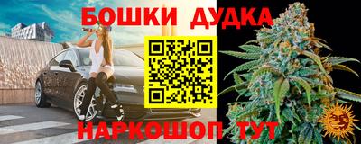 гидропоника Будённовск