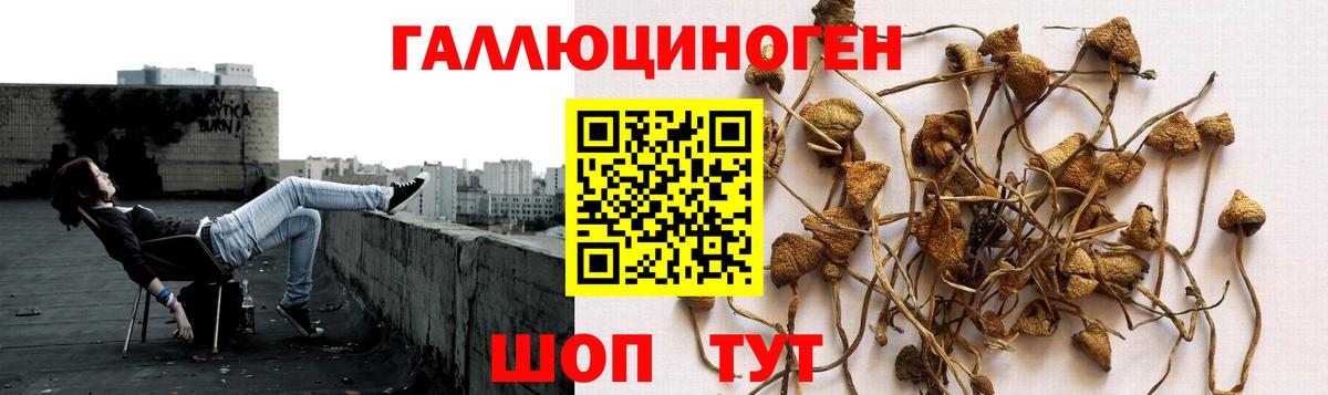 Псилоцибиновые грибы мицелий  Вход с VPN  Коммунар 